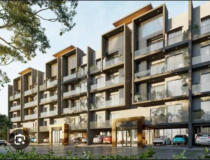 MRG Crown Main Image 1