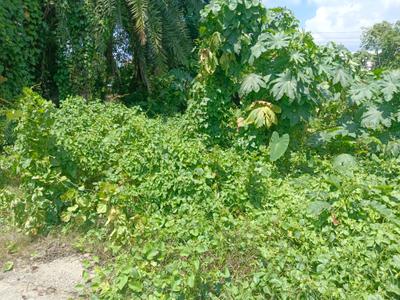 Image of 1450 Sq.ft Residential Plot / Land for sale in Budge Budge, Kolkata for Rs. 1550000