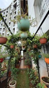 Image of 4250 Sq.ft 5 BHK Apartment / Flat for sale in Bavdhan, Pune for Rs. 70000000