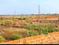 Patrapada Main Image 1