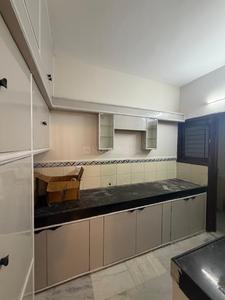 Kitchen Image of 1850 Sq.ft 3 BHK Apartment / Flat for rent in Palasia Indore for Rs. 30000