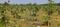 Chandan Beach Valley Main Image 1