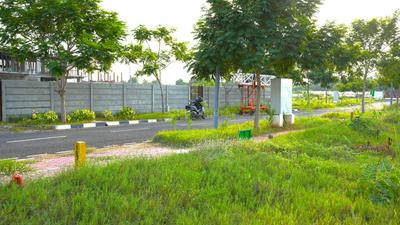 Residential Plot