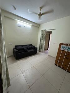 Hall Image of 700 Sq.ft 1 BHK Builder Floor for rent in Scheme 103 Indore for Rs. 13000