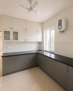 Kitchen Image of 2500 Sq.ft 3 BHK Builder Floor for rent in Gopalapuram Chennai for Rs. 145000