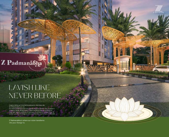 Z Padmanabha Main Image 1