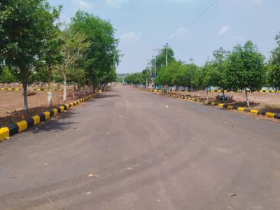 Shadnagar Plot View 2