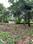Tivim Plot View 2