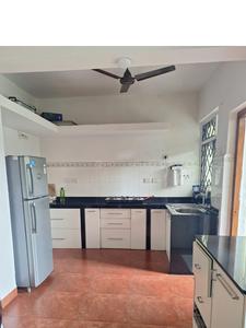 Kitchen Image of 2000 Sq.ft 3 BHK Apartment / Flat for rent in Models Celebrity, Panjim Goa for Rs. 65000