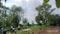 Higna Project Plot View 2