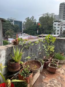 Balcony Image of 1300 Sq.ft 1 BHK Apartment / Flat for sale in Kothrud Pune for Rs. 17500000