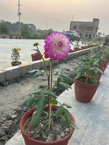 Eco Smart City Balcony 1