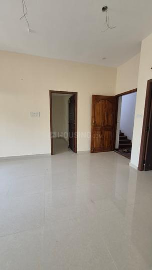 SP Gold Main Image 1