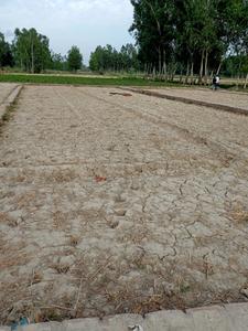 Image of 3400 Sq.ft Residential Plot / Land for sale in C.B.Ganj, Bareilly for Rs. 900000