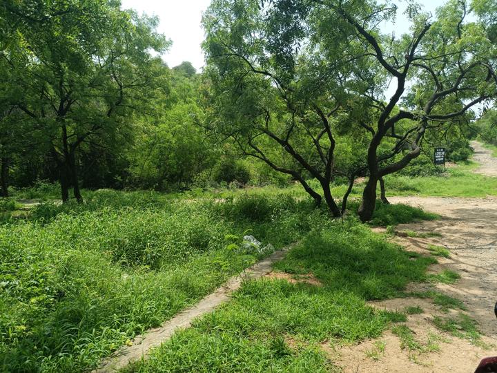 Mahendra hills open plot Main Image 1