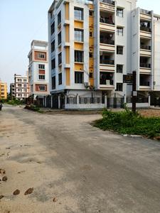 Action Area 2 Plot View 1