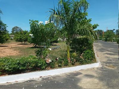 Charan Sai Brindavanam Plot View 3