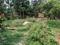 Narayanpur Kadihati Main Image 1