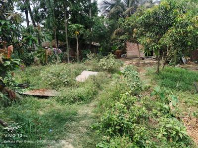 Narayanpur Kadihati Plot View 1