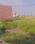Bhirawati Main Image 1