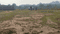 Tilta Main Image 1