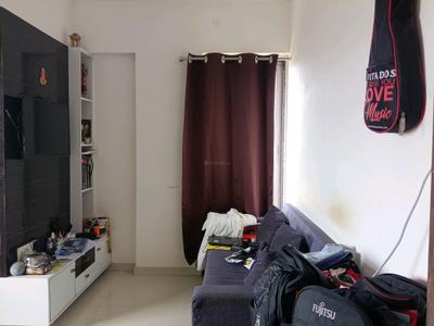 Dani Anand Living Room 1