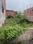 Bada Lalpur, Lamhi Main Image 1