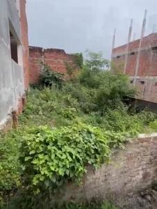 Residential Plot