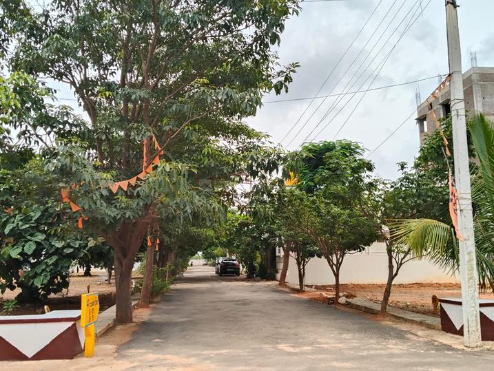 V S Reddy Colony Main Image 1