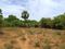 Moratandi Plot View 2