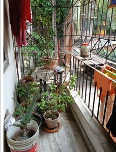 Balcony Image of 1250 Sq.ft 3 BHK Apartment / Flat for sale in Prince Anwar Shah Connector Kolkata for Rs. 7000000
