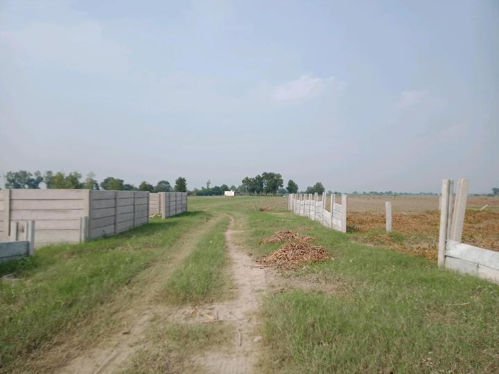 BDL GROUP ROYAL CITY Main Image 1