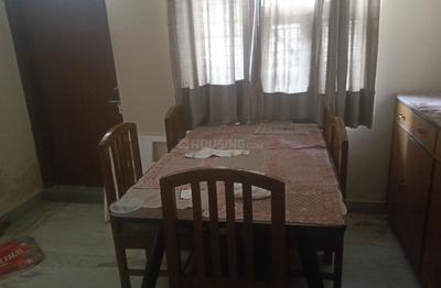 Hall Image of coral castle  in Ashok Nagar, Jaipur