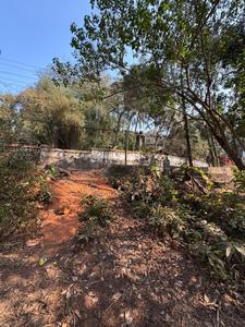 Verem Plot View 1