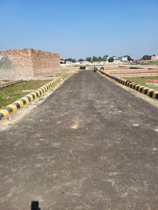 Sonaee Kazehra Plot View 2