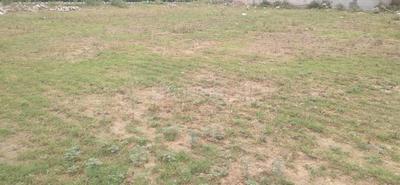Residential Plot