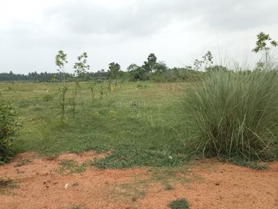 Image of 900 Sq.ft Residential Plot / Land for sale in Chieerupalle, Vizianagaram for Rs. 400000