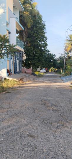 Eden world  Main Image 1