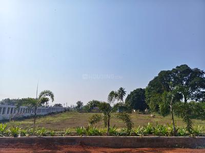 Image of 6000 Sq.ft Residential Plot / Land for sale in Paridhi Nidhivan Farm, Tatibandh, Raipur for Rs. 2850000