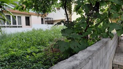 Residential Plot