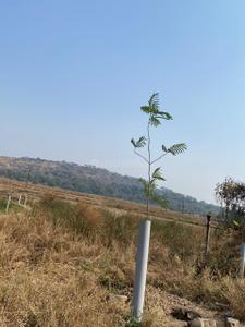 Image of 1089 Sq.ft Residential Plot / Land for sale in Uran, Navi Mumbai for Rs. 435000
