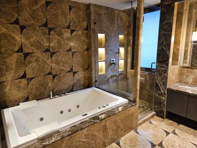 Bathroom Image of 5400 Sq.ft 4 BHK Builder Floor for sale in Safdarjung Development Area New Delhi for Rs. 180000000