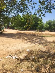 indivual plot Plot View 3