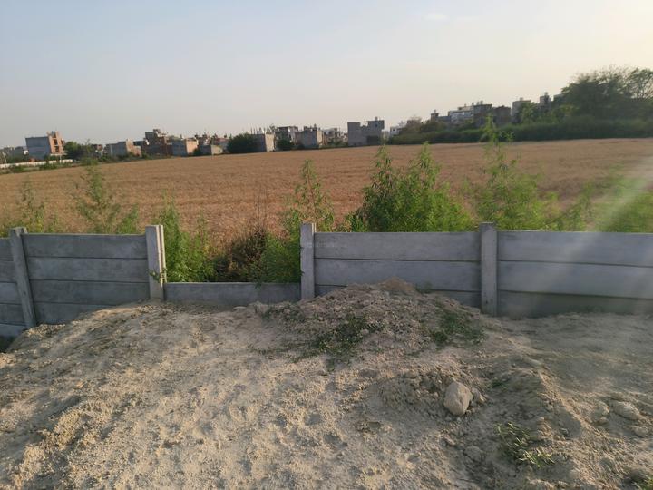 Chhapraula Main Image 1