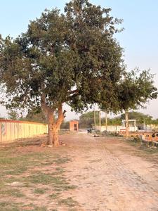 Image of 1000 Sq.ft Residential Plot / Land for sale in Nagram, Lucknow for Rs. 1499000
