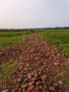 Image of 720 Sq.ft Residential Plot / Land for sale in Asha Enclave, New Town, Kolkata for Rs. 1250000