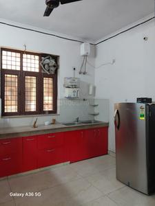 Kitchen Image of 750 Sq.ft 1 BHK Builder Floor for rent in Sector 15 Gurgaon for Rs. 28000