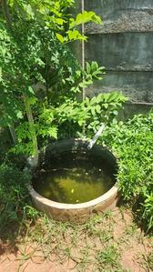 Residential Plot