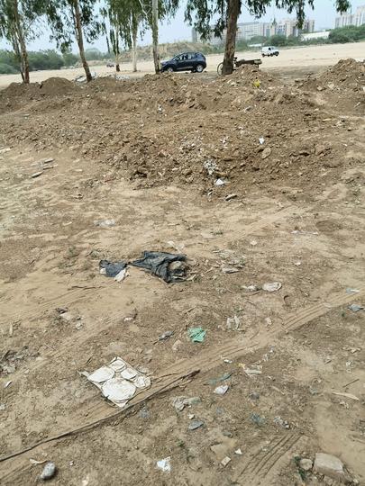 Bhondsi Main Image 1