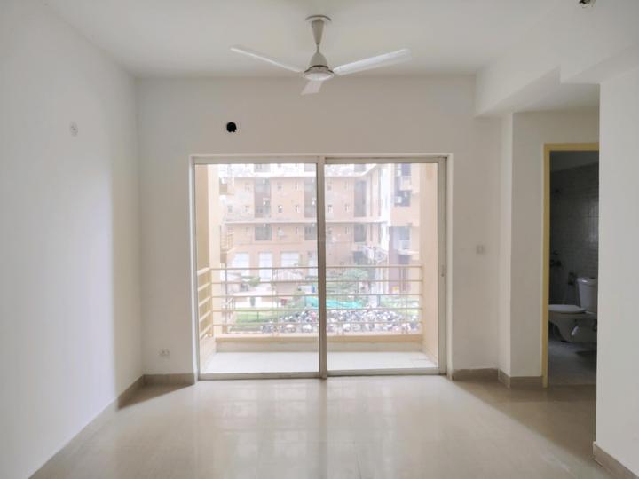 Paras Tierea Main Image 1